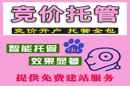 不同平台下的关键词竞价排名策略比较与案例分析